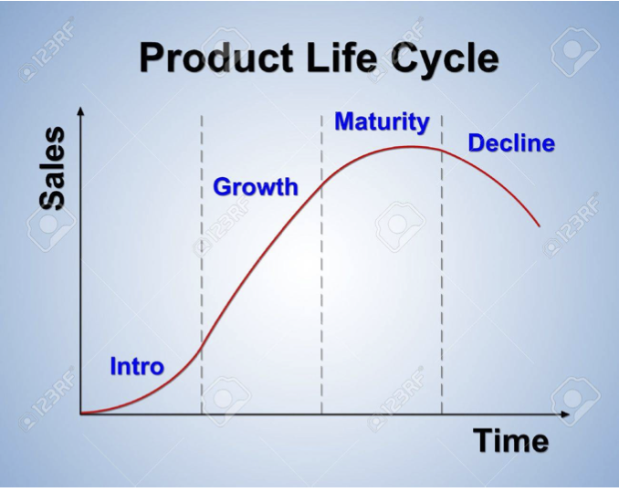 Project Life Cycle2