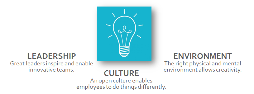 Leadership, Culture, Environment